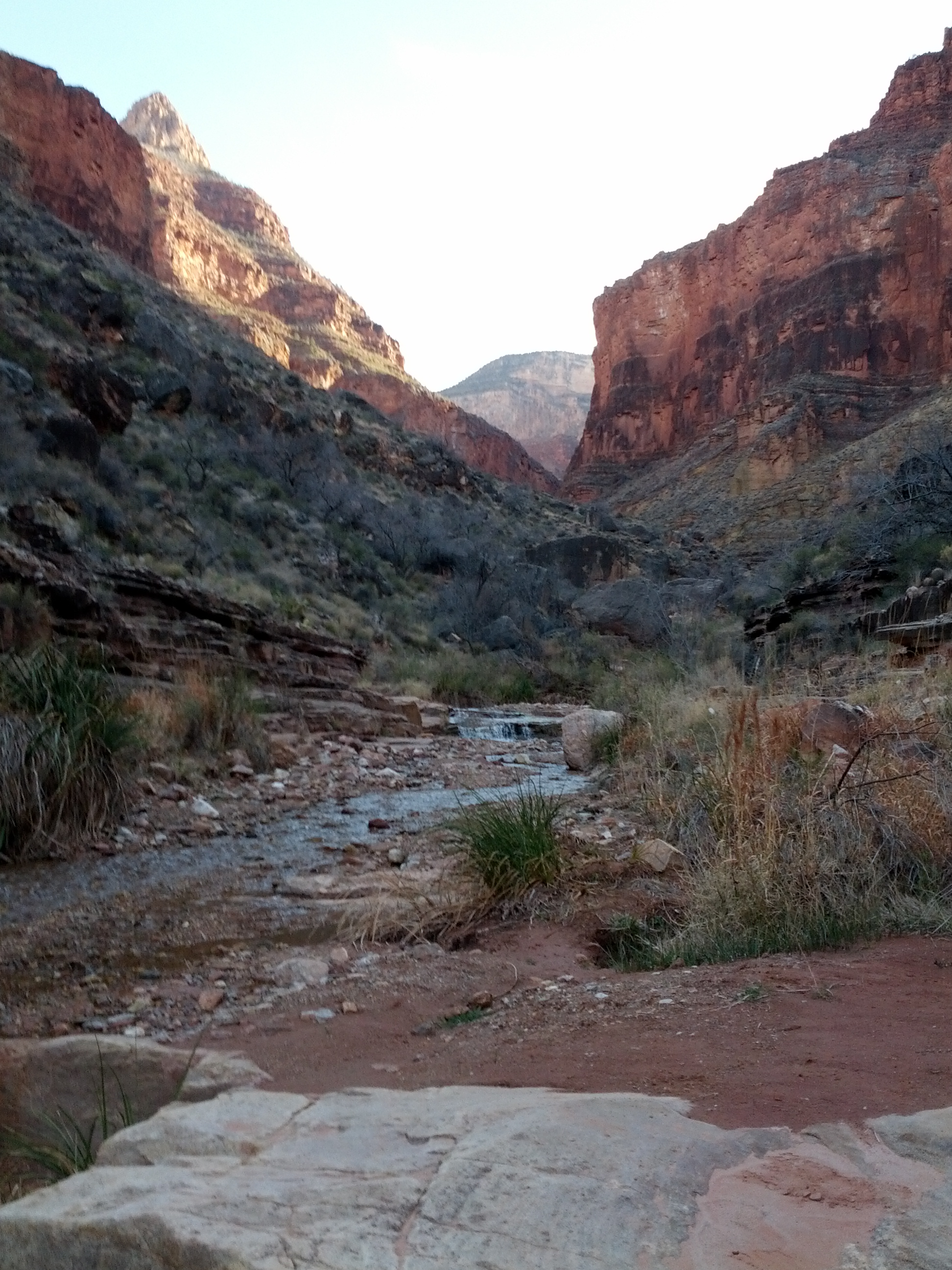 IMG_20130314_165146.jpg